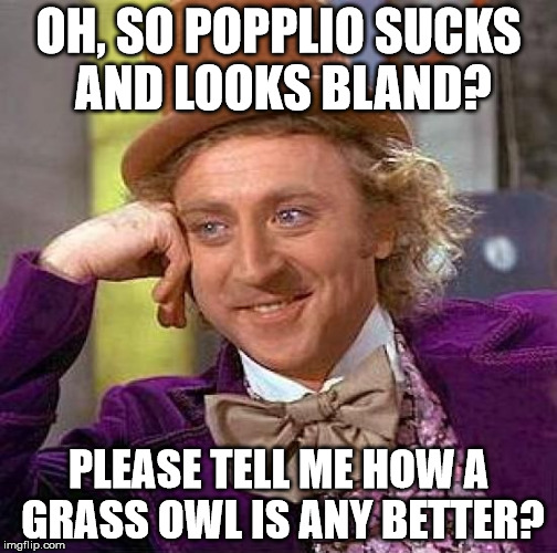 Creepy Condescending Wonka | OH, SO POPPLIO SUCKS AND LOOKS BLAND? PLEASE TELL ME HOW A GRASS OWL IS ANY BETTER? | image tagged in memes,creepy condescending wonka | made w/ Imgflip meme maker