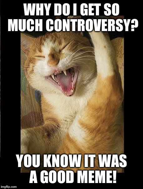 Laughing Cat | WHY DO I GET SO MUCH CONTROVERSY? YOU KNOW IT WAS A GOOD MEME! | image tagged in laughing cat | made w/ Imgflip meme maker