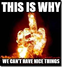 middle finger | THIS IS WHY; WE CAN'T HAVE NICE THINGS | image tagged in middle finger | made w/ Imgflip meme maker