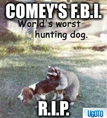 comey's fbi | COMEY'S F.B.I. R.I.P. | image tagged in fbi director james comey | made w/ Imgflip meme maker