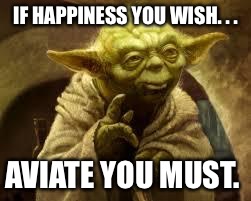 yoda | IF HAPPINESS YOU WISH. . . AVIATE YOU MUST. | image tagged in yoda | made w/ Imgflip meme maker