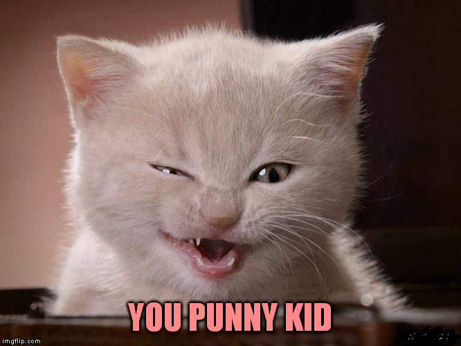 YOU PUNNY KID | made w/ Imgflip meme maker