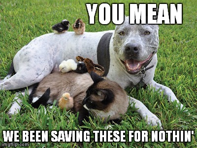 YOU MEAN WE BEEN SAVING THESE FOR NOTHIN' | made w/ Imgflip meme maker
