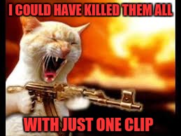 I COULD HAVE KILLED THEM ALL WITH JUST ONE CLIP | made w/ Imgflip meme maker