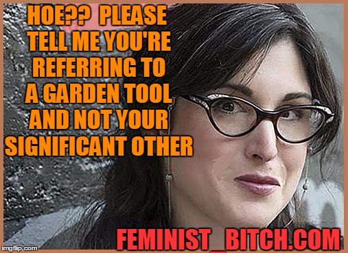 feminist Zeisler | HOE??  PLEASE TELL ME YOU'RE REFERRING TO A GARDEN TOOL AND NOT YOUR SIGNIFICANT OTHER FEMINIST_B**CH.COM | image tagged in feminist zeisler | made w/ Imgflip meme maker