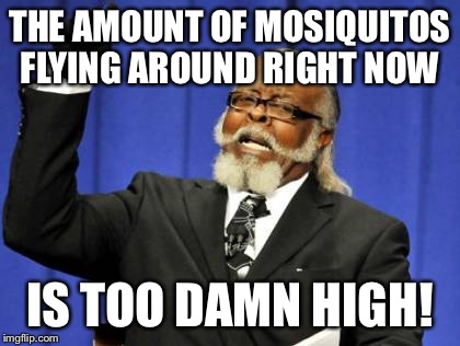 Three more months... | THE AMOUNT OF MOSIQUITOS FLYING AROUND RIGHT NOW; IS TOO DAMN HIGH! | image tagged in memes,too damn high | made w/ Imgflip meme maker