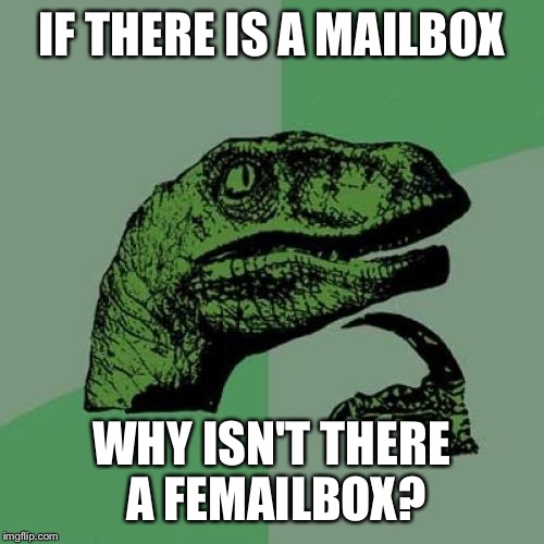 Philosoraptor | IF THERE IS A MAILBOX; WHY ISN'T THERE A FEMAILBOX? | image tagged in memes,philosoraptor | made w/ Imgflip meme maker