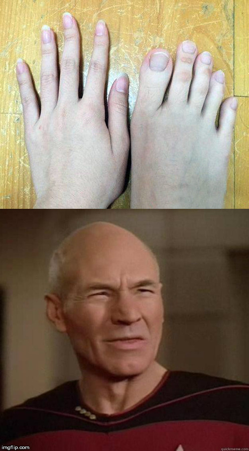 captain, it's a new species.. | DUDE WTH | image tagged in picard,wth,feet,toes,weird | made w/ Imgflip meme maker