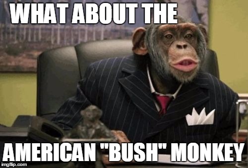 monkey bush | WHAT ABOUT THE AMERICAN "BUSH" MONKEY | image tagged in monkey bush | made w/ Imgflip meme maker