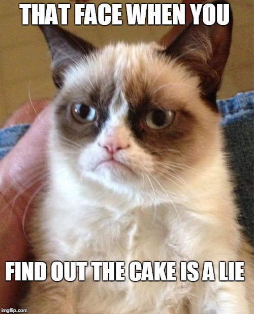Grumpy Cat | THAT FACE WHEN YOU; FIND OUT THE CAKE IS A LIE | image tagged in memes,grumpy cat | made w/ Imgflip meme maker