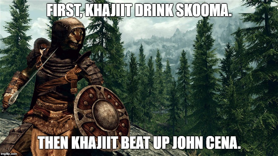 FIRST, KHAJIIT DRINK SKOOMA. THEN KHAJIIT BEAT UP JOHN CENA. | image tagged in khajiit | made w/ Imgflip meme maker