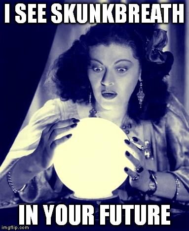 Crystal Ball | I SEE SKUNKBREATH; IN YOUR FUTURE | image tagged in crystal ball | made w/ Imgflip meme maker