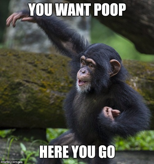YOU WANT POOP HERE YOU GO | made w/ Imgflip meme maker