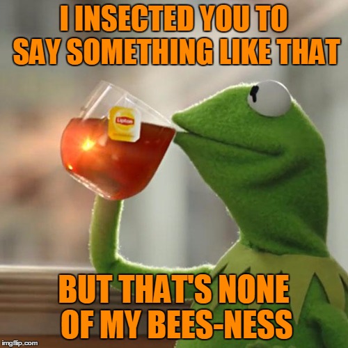 But That's None Of My Business Meme | I INSECTED YOU TO SAY SOMETHING LIKE THAT BUT THAT'S NONE OF MY BEES-NESS | image tagged in memes,but thats none of my business,kermit the frog | made w/ Imgflip meme maker