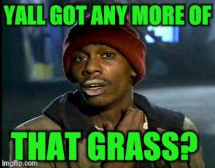 Y'all Got Any More Of That Meme | YALL GOT ANY MORE OF THAT GRASS? | image tagged in memes,yall got any more of | made w/ Imgflip meme maker