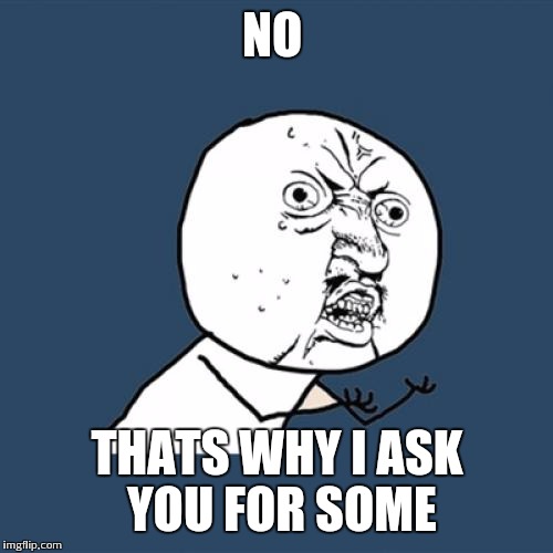 Y U No Meme | NO THATS WHY I ASK YOU FOR SOME | image tagged in memes,y u no | made w/ Imgflip meme maker