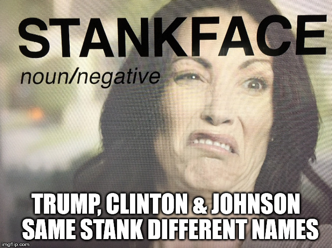 TRUMP, CLINTON & JOHNSON  SAME STANK DIFFERENT NAMES | made w/ Imgflip meme maker