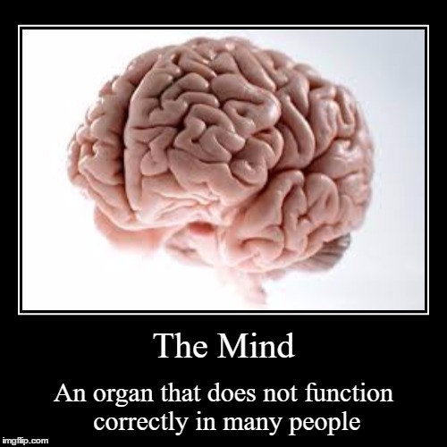 The Mind | An organ that does not function correctly in many people | image tagged in funny,demotivationals,memes,brain,people,idiots | made w/ Imgflip demotivational maker