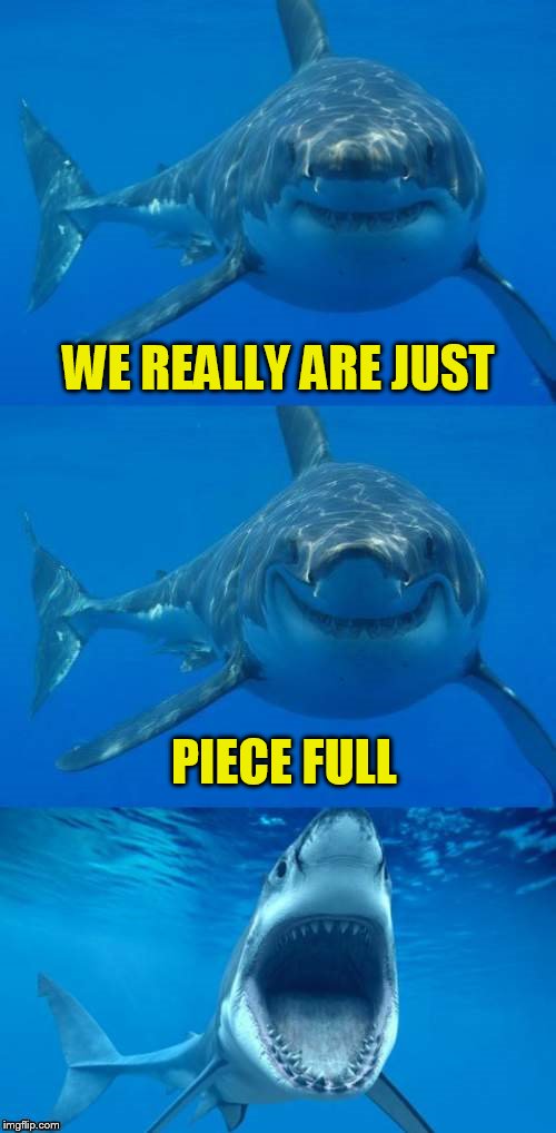 Bad Shark Pun  | WE REALLY ARE JUST PIECE FULL | image tagged in bad shark pun | made w/ Imgflip meme maker