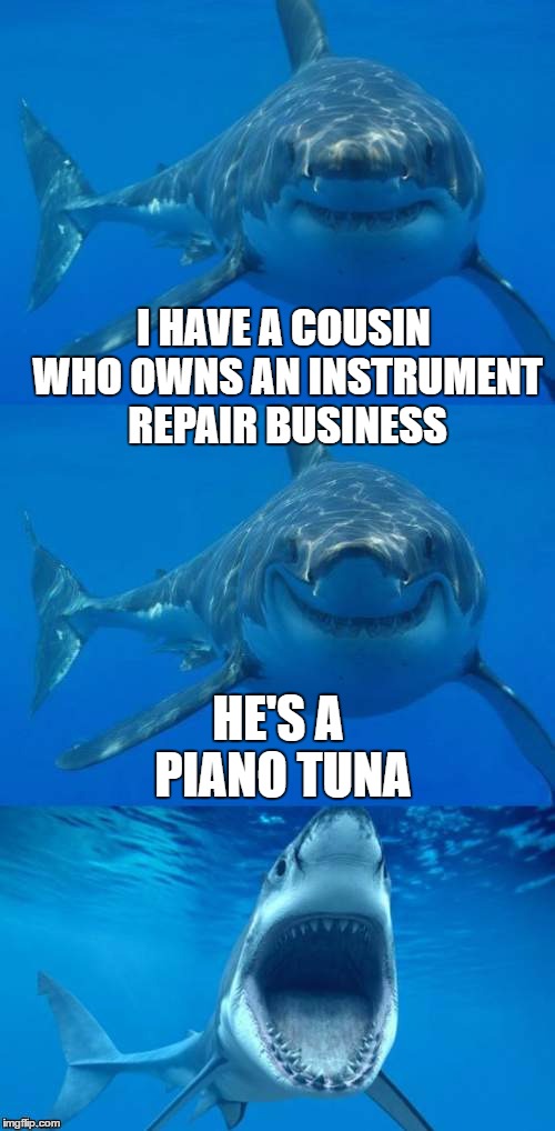 I HAVE A COUSIN WHO OWNS AN INSTRUMENT REPAIR BUSINESS HE'S A PIANO TUNA | made w/ Imgflip meme maker