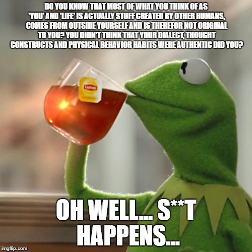 But That's None Of My Business Meme | DO YOU KNOW THAT MOST OF WHAT YOU THINK OF AS 'YOU' AND 'LIFE' IS ACTUALLY STUFF CREATED BY OTHER HUMANS, COMES FROM OUTSIDE YOURSELF AND IS THEREFOR NOT ORIGINAL TO YOU? YOU DIDN'T THINK THAT YOUR DIALECT, THOUGHT CONSTRUCTS AND PHYSICAL BEHAVIOR HABITS WERE AUTHENTIC DID YOU? OH WELL... S**T HAPPENS... | image tagged in memes,but thats none of my business,kermit the frog | made w/ Imgflip meme maker