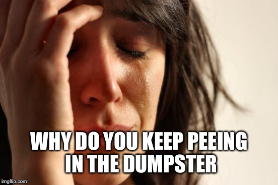 First World Problems Meme | WHY DO YOU KEEP PEEING IN THE DUMPSTER | image tagged in memes,first world problems | made w/ Imgflip meme maker