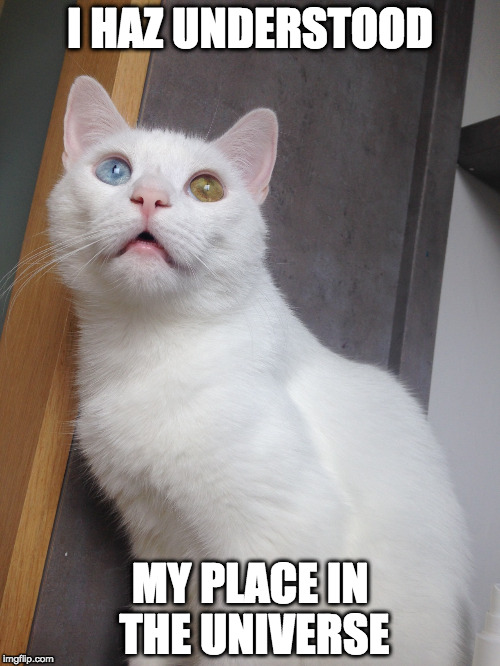 Meaning of life cat | I HAZ UNDERSTOOD; MY PLACE IN THE UNIVERSE | image tagged in white,eyes,the meaning of life,universe,cat,cat eyes | made w/ Imgflip meme maker