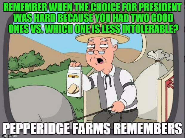 PEPPERIDGE FARMS REMEMBERS | REMEMBER WHEN THE CHOICE FOR PRESIDENT WAS HARD BECAUSE YOU HAD TWO GOOD ONES VS. WHICH ONE IS LESS INTOLERABLE? | image tagged in pepperidge farms remembers | made w/ Imgflip meme maker