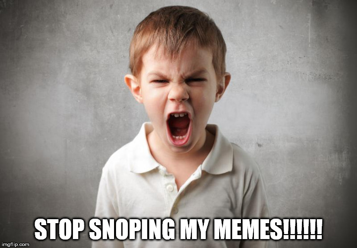 stop snoping me | STOP SNOPING MY MEMES!!!!!! | image tagged in angry,kid,snopes,snoping,truth,conservative | made w/ Imgflip meme maker