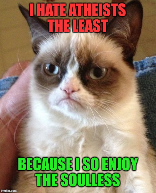 I think humor has to be able to poke fun at everything, especially back at oneself  | I HATE ATHEISTS THE LEAST; BECAUSE I SO ENJOY THE SOULLESS | image tagged in memes,grumpy cat,atheism,humor | made w/ Imgflip meme maker