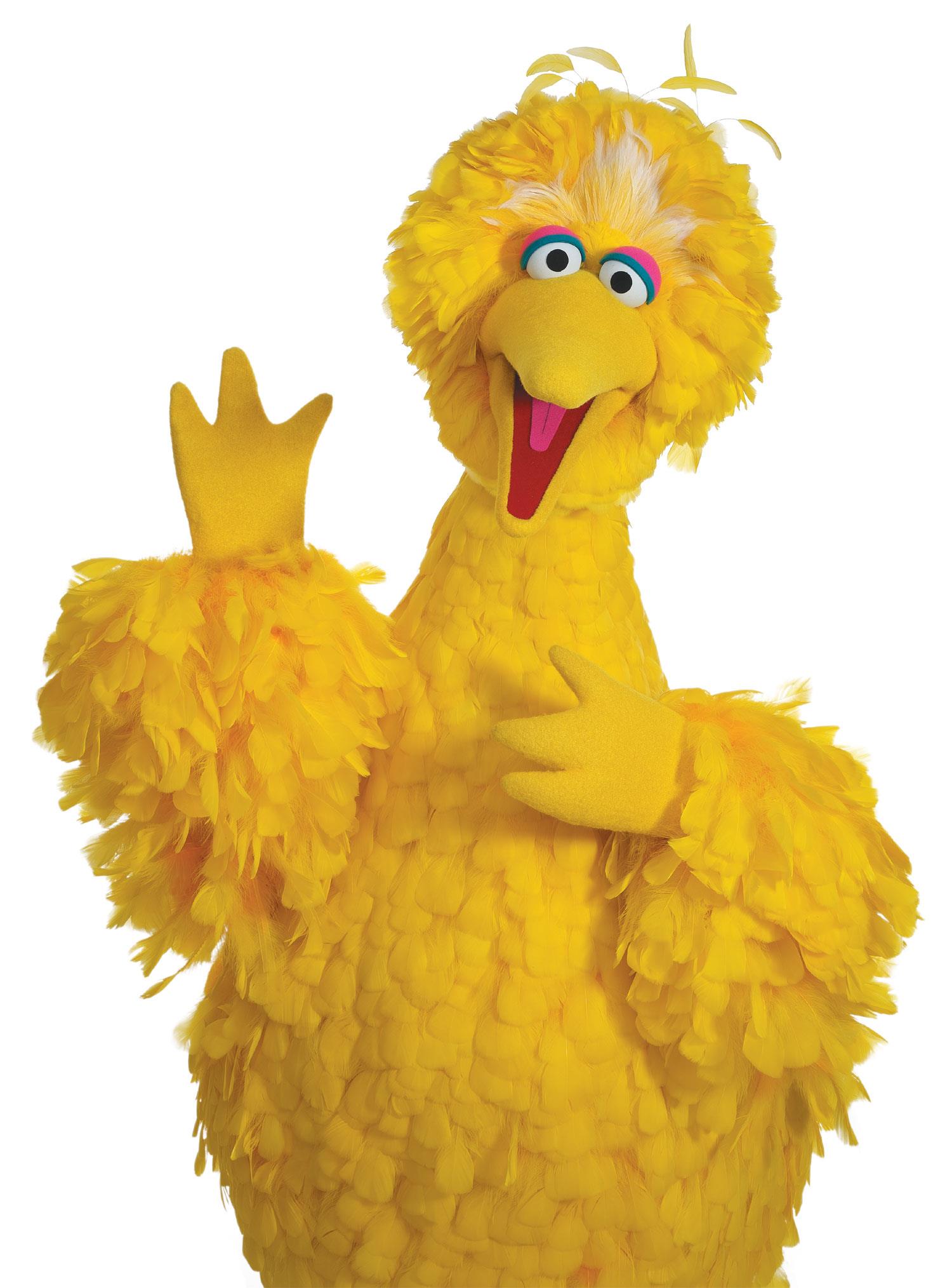 High Quality Big Bird Blank Meme Template