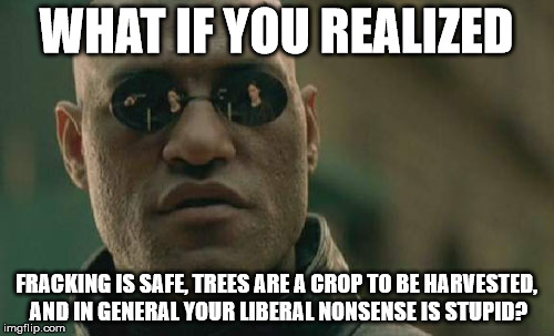 Matrix Morpheus Meme | WHAT IF YOU REALIZED FRACKING IS SAFE, TREES ARE A CROP TO BE HARVESTED, AND IN GENERAL YOUR LIBERAL NONSENSE IS STUPID? | image tagged in memes,matrix morpheus | made w/ Imgflip meme maker