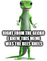 Geico Gecko | RIGHT FROM THE GECKO I KNEW THIS MEME WAS THE BEES KNEES | image tagged in geico gecko | made w/ Imgflip meme maker