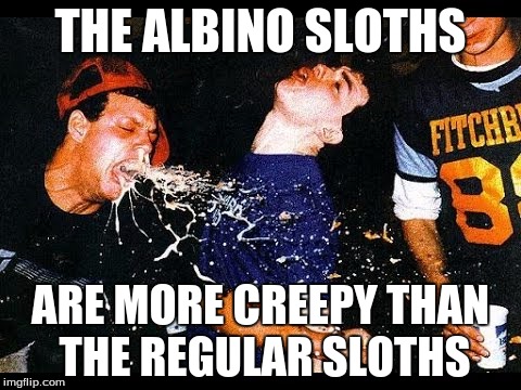 THE ALBINO SLOTHS ARE MORE CREEPY THAN THE REGULAR SLOTHS | made w/ Imgflip meme maker