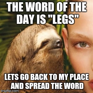 Whisper Sloth Meme | THE WORD OF THE DAY IS "LEGS"; LETS GO BACK TO MY PLACE AND SPREAD THE WORD | image tagged in memes,whisper sloth | made w/ Imgflip meme maker