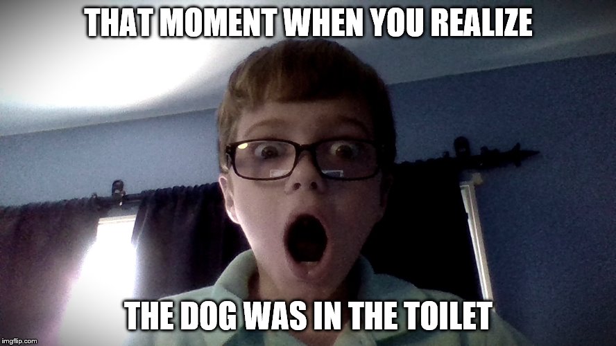 That moment when you realize it wasn't a fart | THAT MOMENT WHEN YOU REALIZE; THE DOG WAS IN THE TOILET | image tagged in that moment when you realize it wasn't a fart | made w/ Imgflip meme maker
