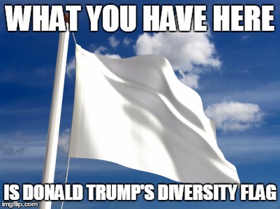 White Flag | WHAT YOU HAVE HERE; IS DONALD TRUMP'S DIVERSITY FLAG | image tagged in white flag | made w/ Imgflip meme maker