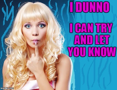 ditzy blonde | I DUNNO I CAN TRY AND LET YOU KNOW | image tagged in ditzy blonde | made w/ Imgflip meme maker