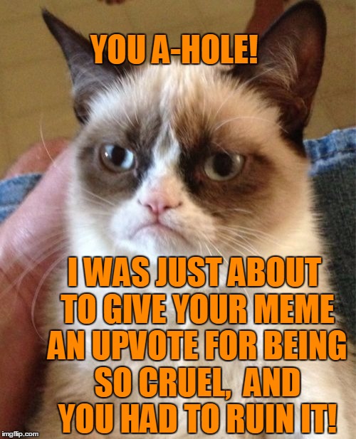 Grumpy Cat Meme | YOU A-HOLE! I WAS JUST ABOUT TO GIVE YOUR MEME AN UPVOTE FOR BEING SO CRUEL,  AND YOU HAD TO RUIN IT! | image tagged in memes,grumpy cat | made w/ Imgflip meme maker