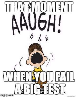 peanuts | THAT MOMENT; WHEN YOU FAIL A BIG TEST | image tagged in peanuts | made w/ Imgflip meme maker