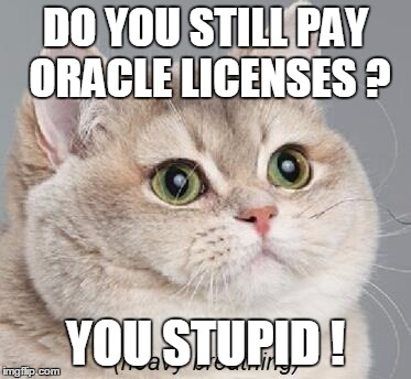 Heavy Breathing Cat | DO YOU STILL PAY ORACLE LICENSES ? YOU STUPID ! | image tagged in memes,heavy breathing cat | made w/ Imgflip meme maker