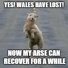 dancing sheep | YES! WALES HAVE LOST! NOW MY ARSE CAN RECOVER FOR A WHILE | image tagged in dancing sheep,wales,sheep,euro 2016,portugal | made w/ Imgflip meme maker