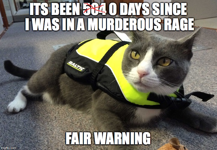 murderous rage | ITS BEEN 504 0 DAYS SINCE I WAS IN A MURDEROUS RAGE; FAIR WARNING | image tagged in grumpy | made w/ Imgflip meme maker
