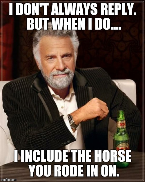 The Most Interesting Man In The World Meme | I DON'T ALWAYS REPLY. BUT WHEN I DO.... I INCLUDE THE HORSE YOU RODE IN ON. | image tagged in memes,the most interesting man in the world | made w/ Imgflip meme maker