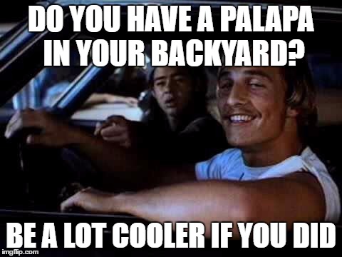 Dazed and confused | DO YOU HAVE A PALAPA IN YOUR BACKYARD? BE A LOT COOLER IF YOU DID | image tagged in dazed and confused | made w/ Imgflip meme maker