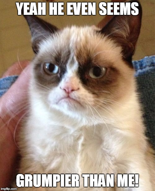 Grumpy Cat Meme | YEAH HE EVEN SEEMS GRUMPIER THAN ME! | image tagged in memes,grumpy cat | made w/ Imgflip meme maker