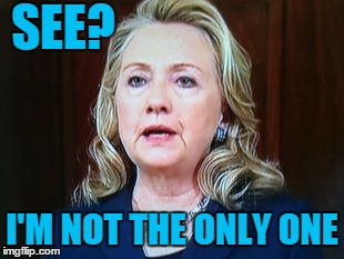 SEE? I'M NOT THE ONLY ONE | image tagged in hillary | made w/ Imgflip meme maker
