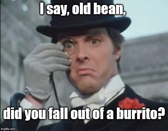 MrPosh | I say, old bean, did you fall out of a burrito? | image tagged in mrposh | made w/ Imgflip meme maker