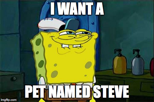 Don't You Squidward | I WANT A; PET NAMED STEVE | image tagged in memes,dont you squidward | made w/ Imgflip meme maker