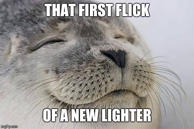 Satisfied Seal | THAT FIRST FLICK; OF A NEW LIGHTER | image tagged in memes,satisfied seal,AdviceAnimals | made w/ Imgflip meme maker